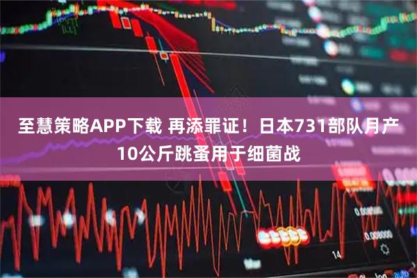 至慧策略APP下载 再添罪证！日本731部队月产10公斤跳蚤用于细菌战
