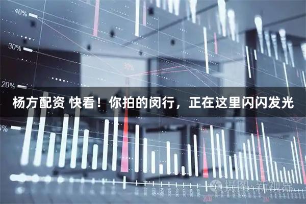 杨方配资 快看！你拍的闵行，正在这里闪闪发光
