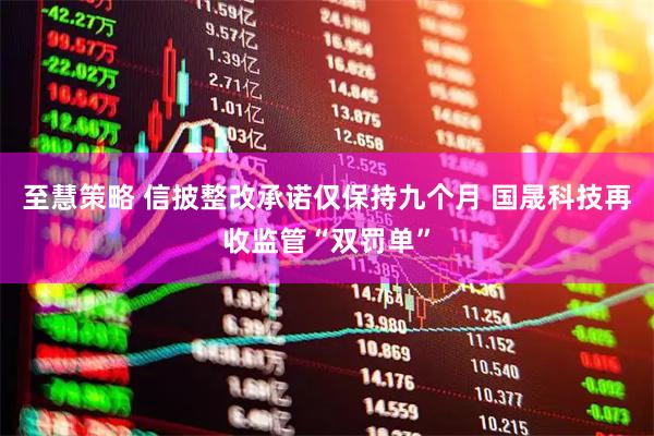 至慧策略 信披整改承诺仅保持九个月 国晟科技再收监管“双罚单”